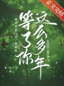 等了你这么多年小说叶枚
