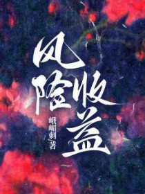风险收益的公式