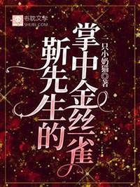 靳先生免费阅读