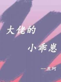 大佬的小乖崽作者丑珂