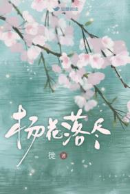 杨花落尽子规啼古筝