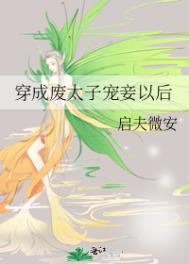 穿成废太子宠妾以后最新章节