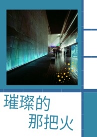 璀璨的婚礼电视剧全集