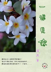 我一遇见你就笑歌词